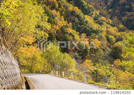 Autumn leaves at Awa Pass [National Route 158, Old Road] 119614202