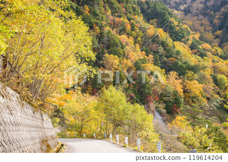 Autumn leaves at Awa Pass [National Route 158, Old Road] 119614204