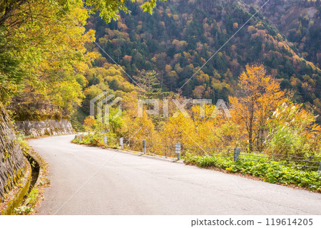 Autumn leaves at Awa Pass [National Route 158, Old Road] 119614205