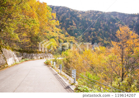 Autumn leaves at Awa Pass [National Route 158, Old Road] 119614207