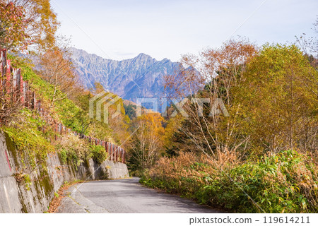 Autumn leaves at Awa Pass [National Route 158, Old Road] 119614211