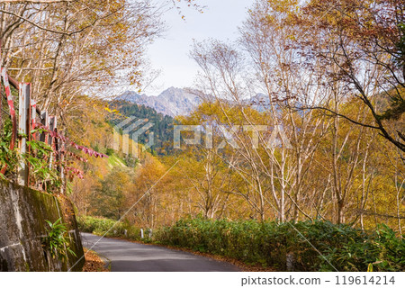 Autumn leaves at Awa Pass [National Route 158, Old Road] 119614214