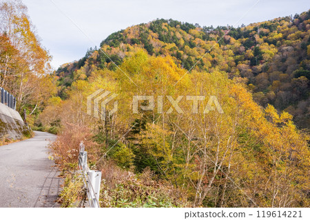 Autumn leaves at Awa Pass [National Route 158, Old Road] 119614221
