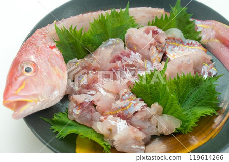Threadfin bream sashimi Threadfin bream sashimi 119614266