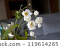 A close-up of autumn chrysanthemums arranged in the living room 119614285