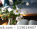 A close-up of autumn chrysanthemums arranged on the living room table 119614407