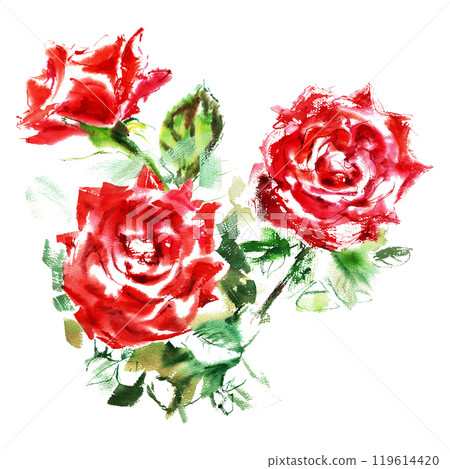 Scent of red roses with green leaves in watercolor. It is hand-drawn on the card background in bright juicy strokes of bright red, scarlet color. The rose petals are open. Elegant rosebuds collect and 119614420