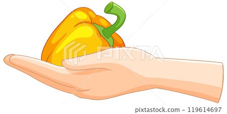 Hand Holding a Yellow Bell Pepper 119614697