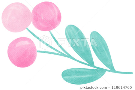 Watercolor Illustration of Pink Berries and Leaves Watercolor Illustration of Pink Berries and Leaves 119614760