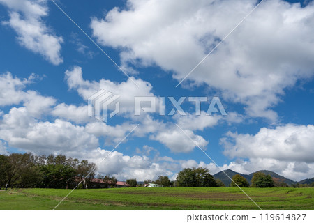 Beautiful grassland scenery: Okayama Hiruzen Highlands Beautiful grassland scenery: Okayama Hiruzen Highlands 119614827