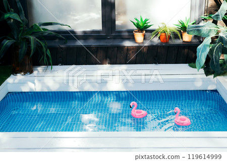 Exterior terrace with swimming pool in the house. Pink inflatable flamingos in pool water 119614999