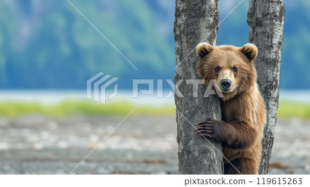 A bear that is interested in me 119615263