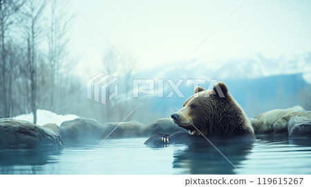 Bear relaxing in hot spring 119615267