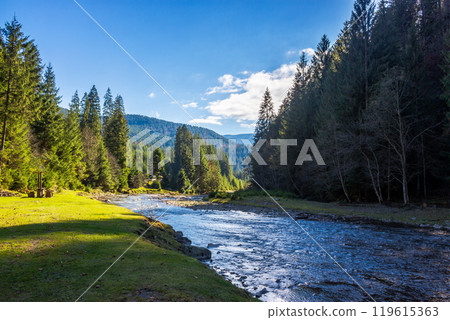 landscape with mountains, forest and a river in front. idyllic wallpaper. beautiful scenery in autumn. grass on the shore 119615363