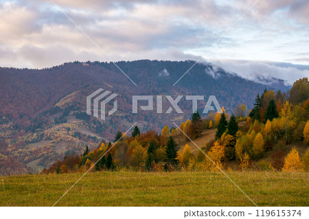 rural area of carpathian mountains in autumn. wonderful scenery. cloudy weather. trees in colorful foliage. landscape with hills rolling in to the distance. atmospheric cloudscape 119615374