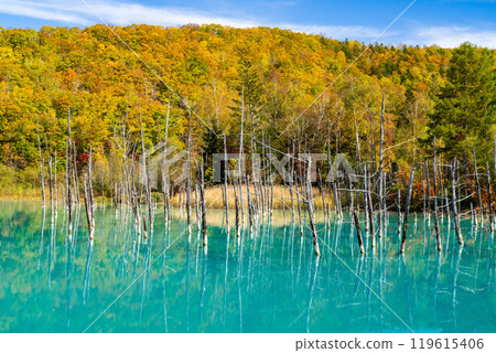 北海道短暫的秋天-藍色的池塘和紅葉 北海道短暫的秋天-藍色的池塘和紅葉 119615406