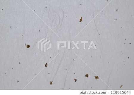 金銀雲龍紋和紙【背景素材】 119615644