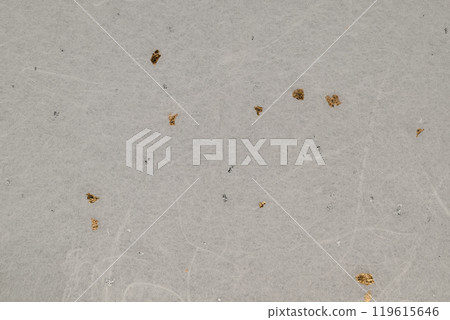 金銀雲龍紋和紙【背景素材】 119615646