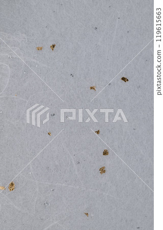 金銀雲龍紋和紙【背景素材】 金銀雲龍紋和紙【背景素材】 119615663