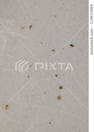 金銀雲龍紋和紙【背景素材】 119615664