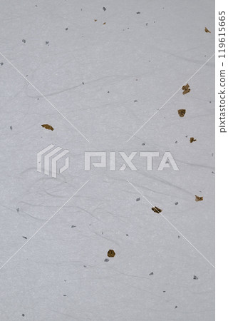 金銀雲龍紋和紙【背景素材】 金銀雲龍紋和紙【背景素材】 119615665