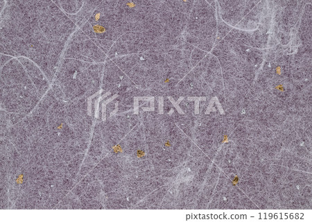 Gold and silver cloud dragon pattern Japanese paper [Background material] 119615682