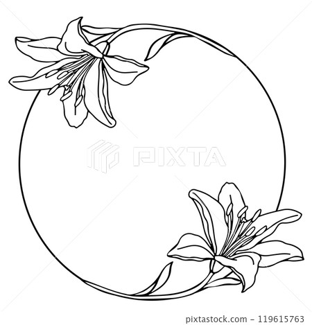 Lilly wreath. Lilies flower wreath, line art hand drawn illustration for design of card or wedding invitation Lilly wreath. Lilies flower wreath, line art hand drawn illustration for design of card or wedding invitation 119615763