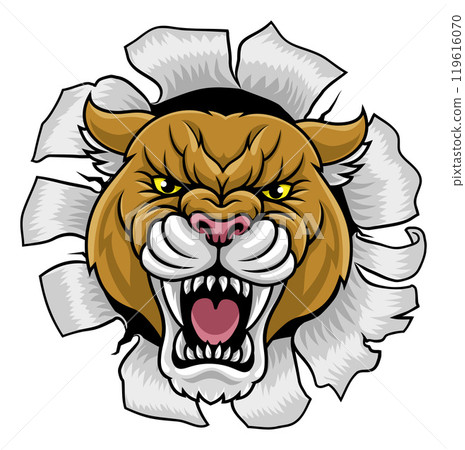 Cougar Panther Mountain Lion Puma Sports Mascot Cougar Panther Mountain Lion Puma Sports Mascot 119616070