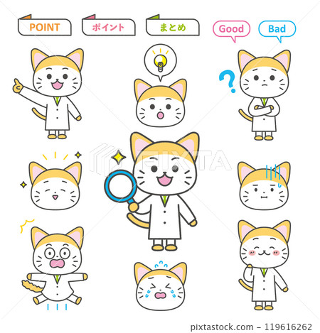 貓醫生圖示插圖字符 119616262