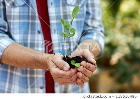 Close-up of person holding small seedling with soil in both hands while standing outdoors, showcasing care for nature and gardening activity Close-up of person holding small seedling with soil in both hands while standing outdoors, showcasing care for nature and gardening activity 119616486