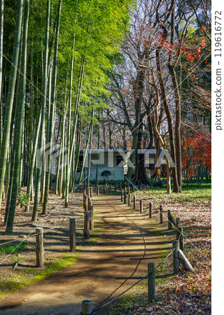 Autumn at Roka Koshunen Garden: Autumn leaves near the former residence of Tokutomi Roka (Setagaya, Tokyo) Autumn at Roka Koshunen Garden: Autumn leaves near the former residence of Tokutomi Roka (Setagaya, Tokyo) 119616772