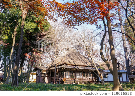 Autumn at Roka Koshunen Garden: Autumn leaves near the former residence of Tokutomi Roka (Setagaya, Tokyo) 119616838