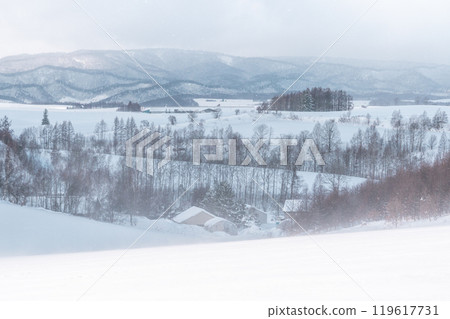 Winter travel snow scene in Biei, Hokkaido, Japan 119617731