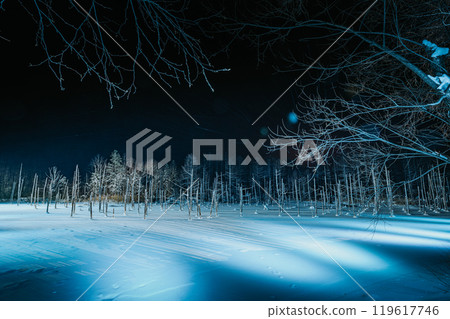 Snow scene of Biei Green Pond in Hokkaido, Japan in winter 119617746