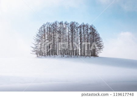 Winter travel snow scene in Biei, Hokkaido, Japan 119617748