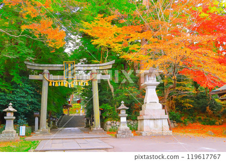 鹽灶神社東參道,紅葉絢爛 鹽灶神社東參道,紅葉絢爛 119617767