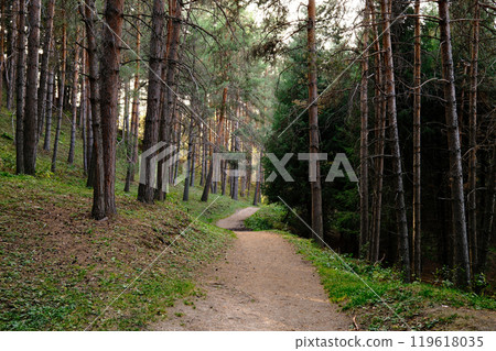 Winding dirt path through tall pine forest, evening sunlight filtering through trees, peaceful hiking trail Winding dirt path through tall pine forest, evening sunlight filtering through trees, peaceful hiking trail 119618035