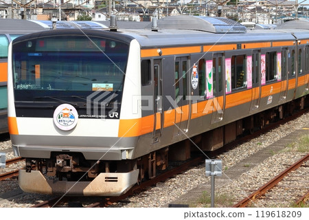 [JC] Ome Line/Itsukaichi Line E233 series one-man train (Tokyo Adventure Line: Wrapping train) 119618209