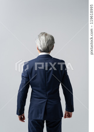 Businessman, gray hair, back view Businessman, gray hair, back view 119618995