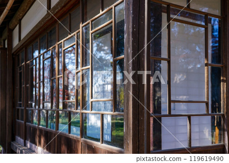 Autumn leaves at the former residence of Tokutomi Roka in Roka Koshunen Garden, also known as Roka Park (Setagaya Ward, Tokyo) 119619490