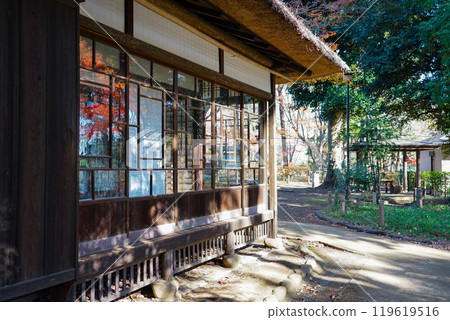 德富蘆花故居蘆花甲春園（東京都世田谷區），窗外倒映著秋葉。 119619516