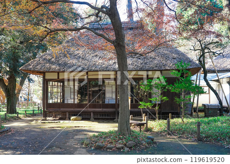 德富蘆花故居蘆花甲春園（東京都世田谷區），窗外倒映著秋葉。 119619520