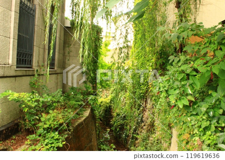 建築物之間的自然 119619636