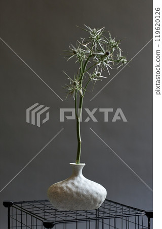 Simple flower composition with spiky eryngium plant set in handmade ceramic vase on grey background Simple flower composition with spiky eryngium plant set in handmade ceramic vase on grey background 119620126