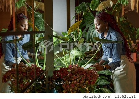 Side view portrait of young Black woman caring for lush green potted plants working in flower shop with reflection in mirror wall, copy space Side view portrait of young Black woman caring for lush green potted plants working in flower shop with reflection in mirror wall, copy space 119620181