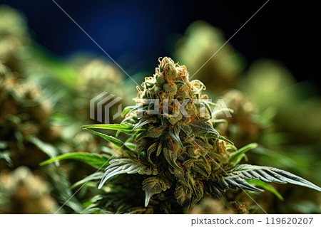 Cannabis bud. Marijuana bud high detail closeup macro shot. Ai generative 119620207