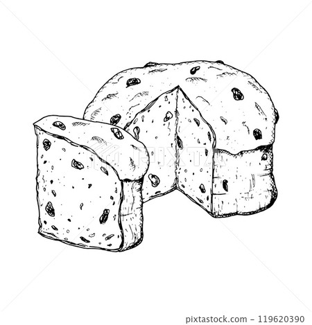 Hand drawn ink vector illustration of traditional Italian Christmas pastry Panettone. Sketchy style clip art of festive raisin pie suitable for New Year print, bakery packaging, pastry shop, cafe menu Hand drawn ink vector illustration of traditional Italian Christmas pastry Panettone. Sketchy style clip art of festive raisin pie suitable for New Year print, bakery packaging, pastry shop, cafe menu 119620390
