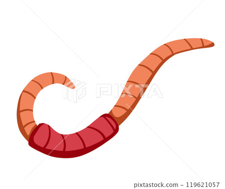 Worm bait. Cartoon insect animal. Invertebrate bug. Slimy earthworm crawler. Cartoon earth creep Worm bait. Cartoon insect animal. Invertebrate bug. Slimy earthworm crawler. Cartoon earth creep 119621057