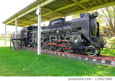 D51 159 (Iwanai Sports Park, Iwanai Town, Hokkaido) 119621860