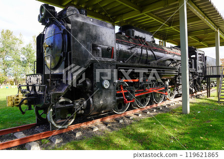 D51 159（北海道岩內町岩內運動公園） 119621865